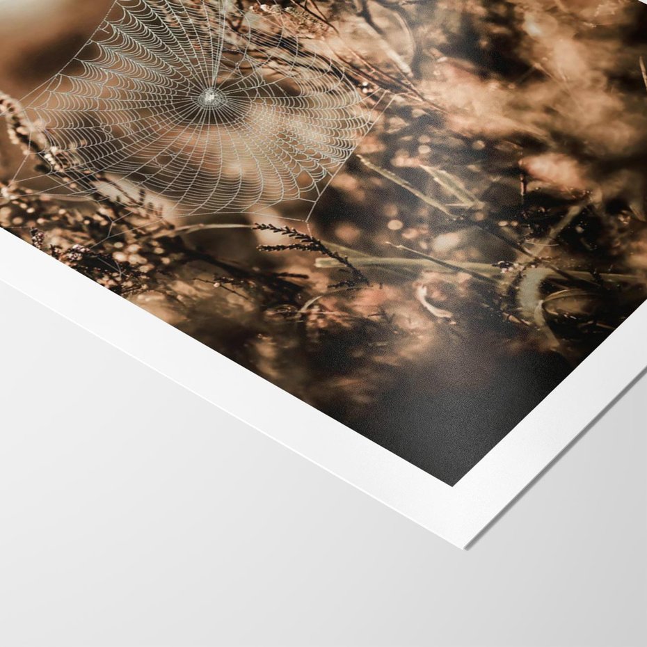 Plakat bez ramy 50x70 - Jesienny Mikrokosmos - suchetrawy, jesienny klimat