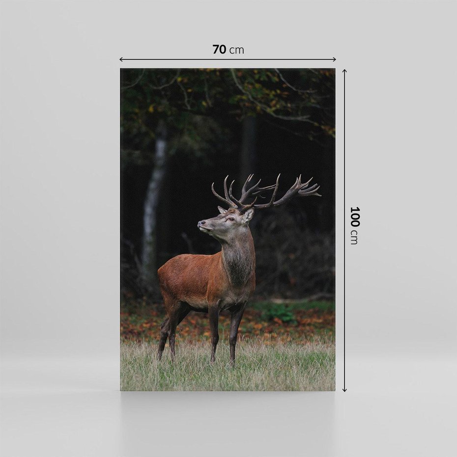 Obraz na płótnie 70x100 - Spotkanie z naturą - jeleń, las