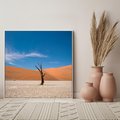 Obraz w ramie 80x80 - Słońce i Suche Drzewo - pustynia, suche - rama biała