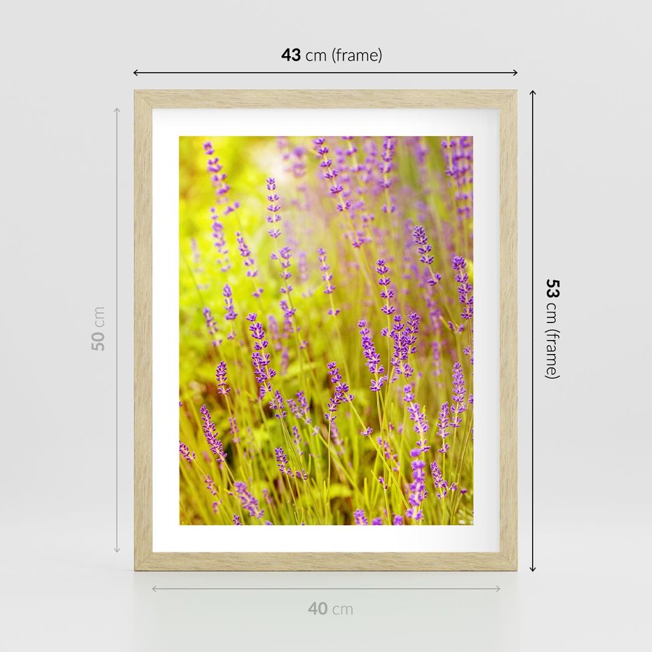 Plakat w ramie 40x50 - Delikatność natury - lawenda, kwiaty - rama drewno