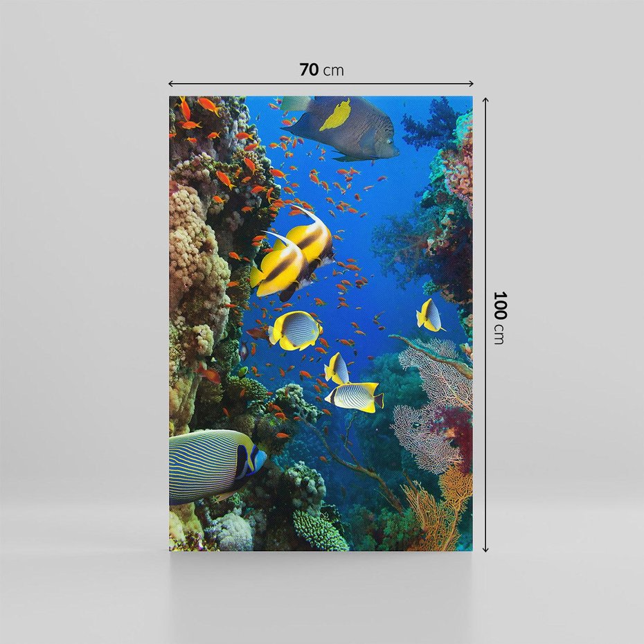Obraz na płótnie 70x100 - Podwodne królestwo rafy koralowej - rafa, koralowa