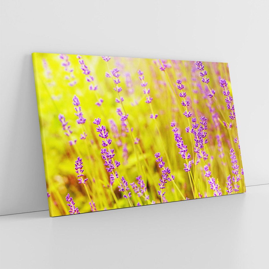 Obraz na płótnie 70x50 - Delikatność natury - lawenda, kwiaty