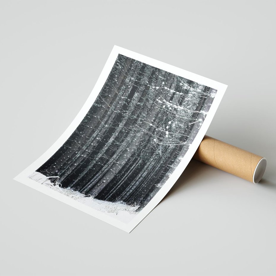 Plakat bez ramy 21x30 - Leśna Cisza: Malowniczy Pejzaż Zimą - las zimą, ośnieżone pnie drzew