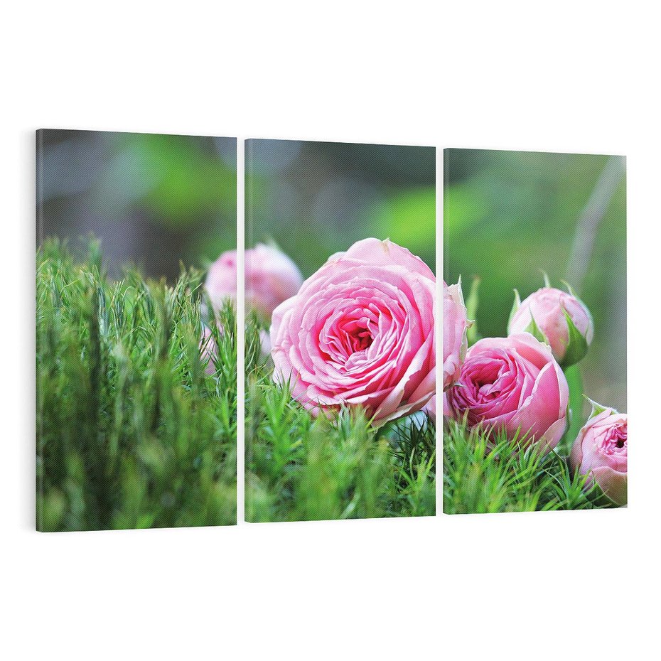 Obraz na płótnie 120x80 - Różane Ukojenie - róże, kwiaty