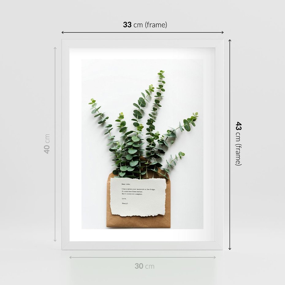 Plakat w ramie 30x40 - Eukaliptusowa harmonia - eukaliptus, liście - rama biała