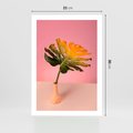 Plakat bez ramy 21x30 - Egzotyczna monstera - monstera, liść