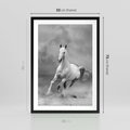 Plakat w ramie 50x70 - Elegancja w Czarno-Białym - koń, biało - rama czarna