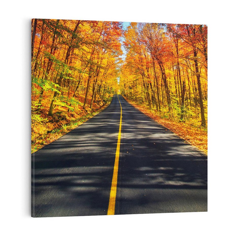 Obraz na płótnie 70x70 - Droga przez jesienny las - droga, las