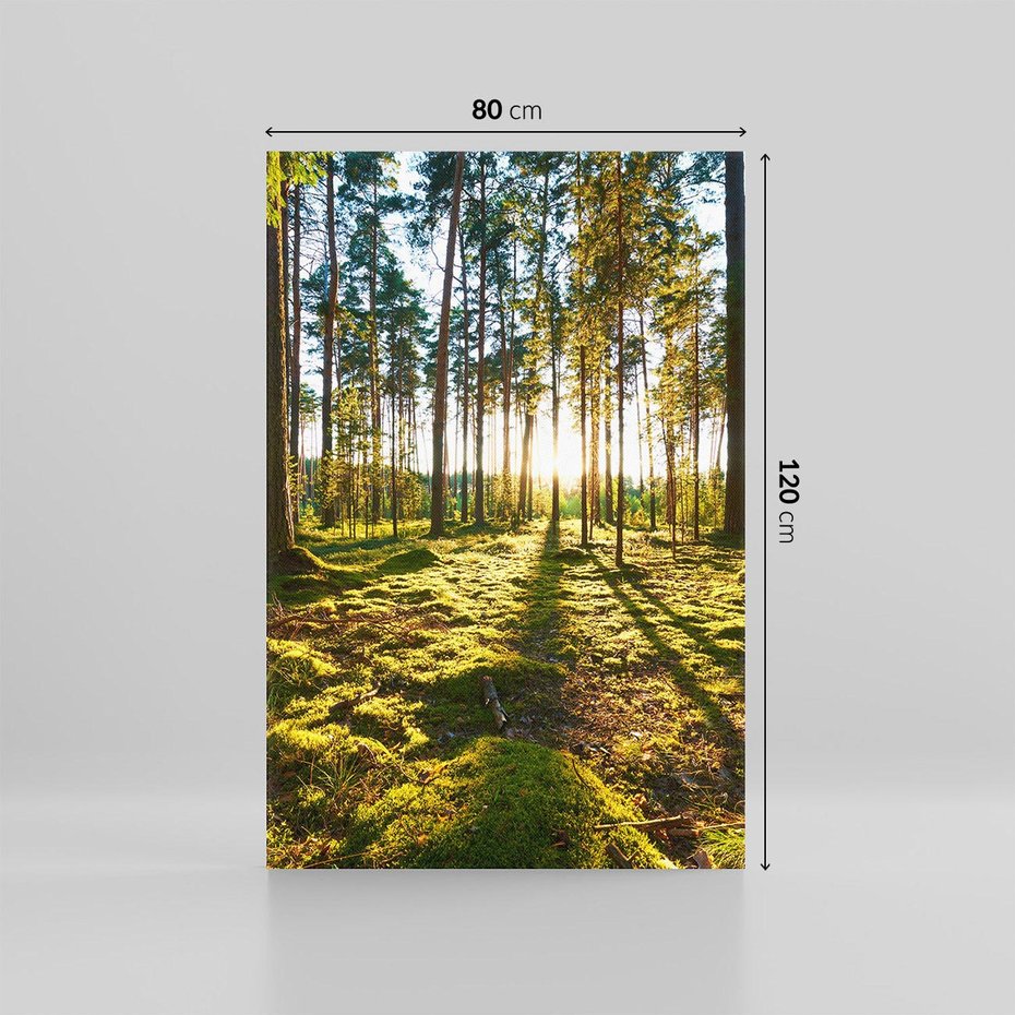 Obraz na płótnie 80x120 - Obfitość natury - las, drzewa