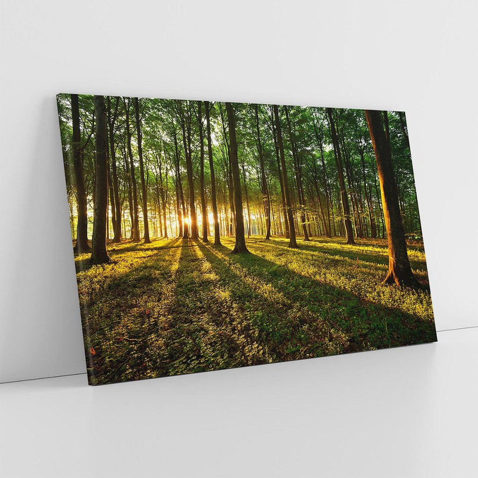 Obraz na płótnie 120x80 - Mistyfikujący urok leśnej głuszy - las, drzewa