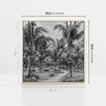 Obraz w ramie 50x50 - Mroczna Ścieżka Tropików - czarno biała fotografia, ścieżka pośród palm - rama drewno