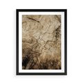 Plakat w ramie 50x70 - Słoje Natury - słoje drzewa, pieńdrzewa - rama czarna