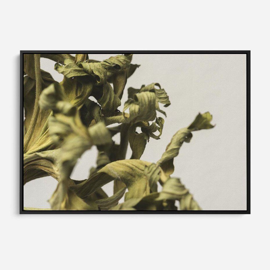 Obraz w ramie 100x70 - Odejście pory deszczowej - suche, trawy - rama czarna