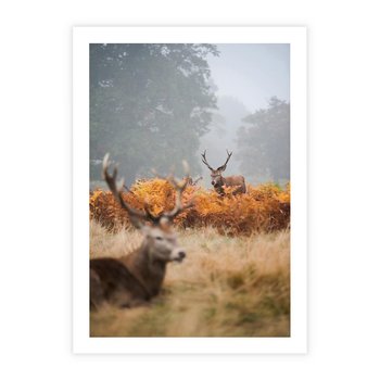 Plakat bez ramy 30x40 - Malownicza Harmonia - jelenie, jesień