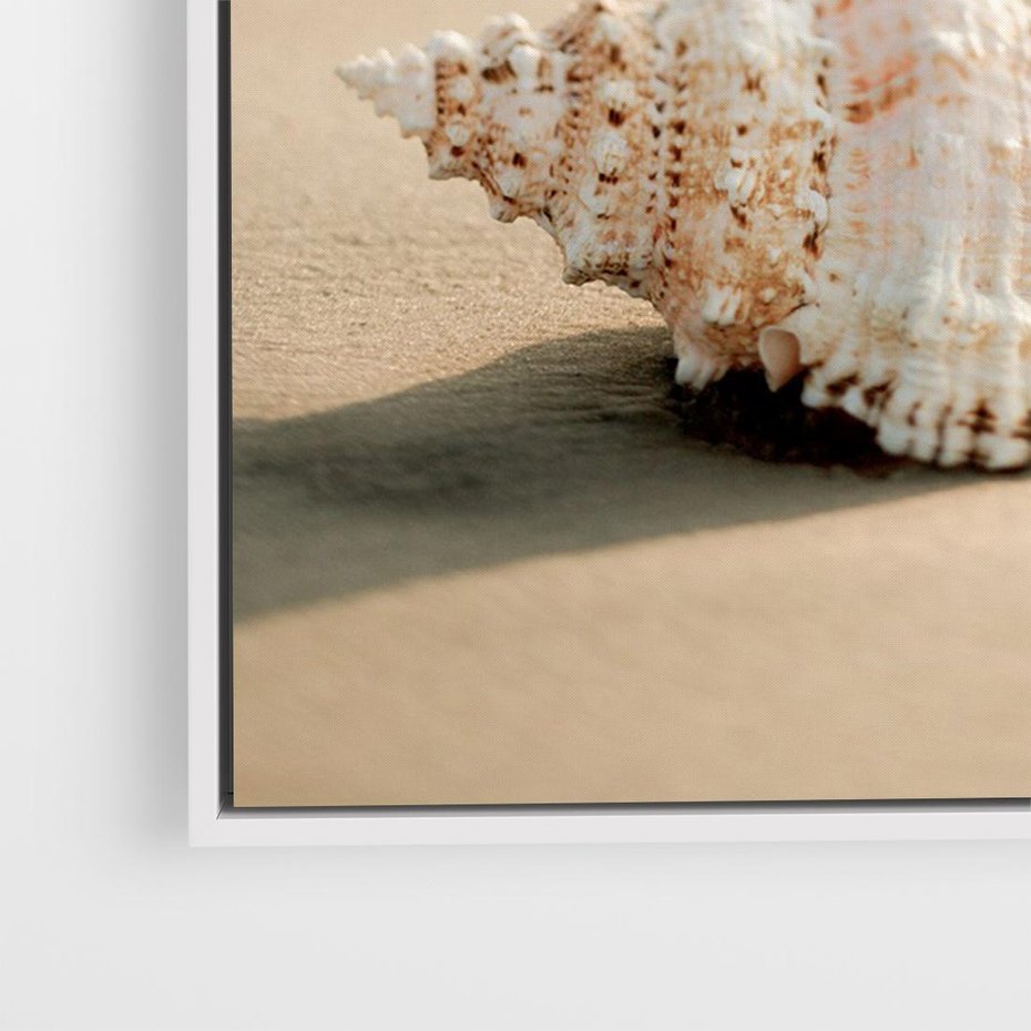 Obraz w ramie 70x50 - Urok plażowej muszelki - fotografia, muszla na plaży - rama biała