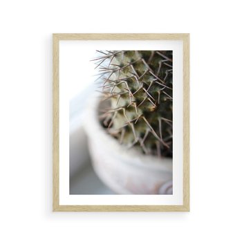 Plakat w ramie 30x40 - Kaktus w Zbliżeniu - kaktus, igły - rama drewno