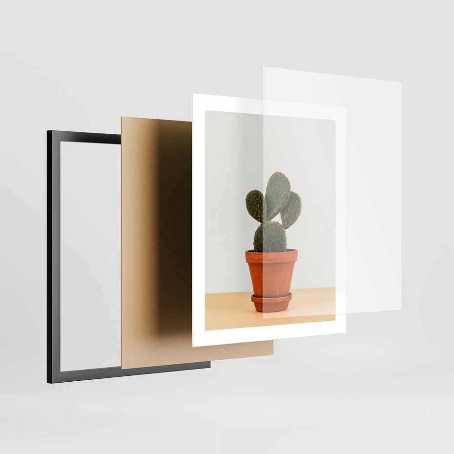 Plakat w ramie 40x50 - Kwiatowy taniec kaktusa - kaktus, kwiat - rama czarna