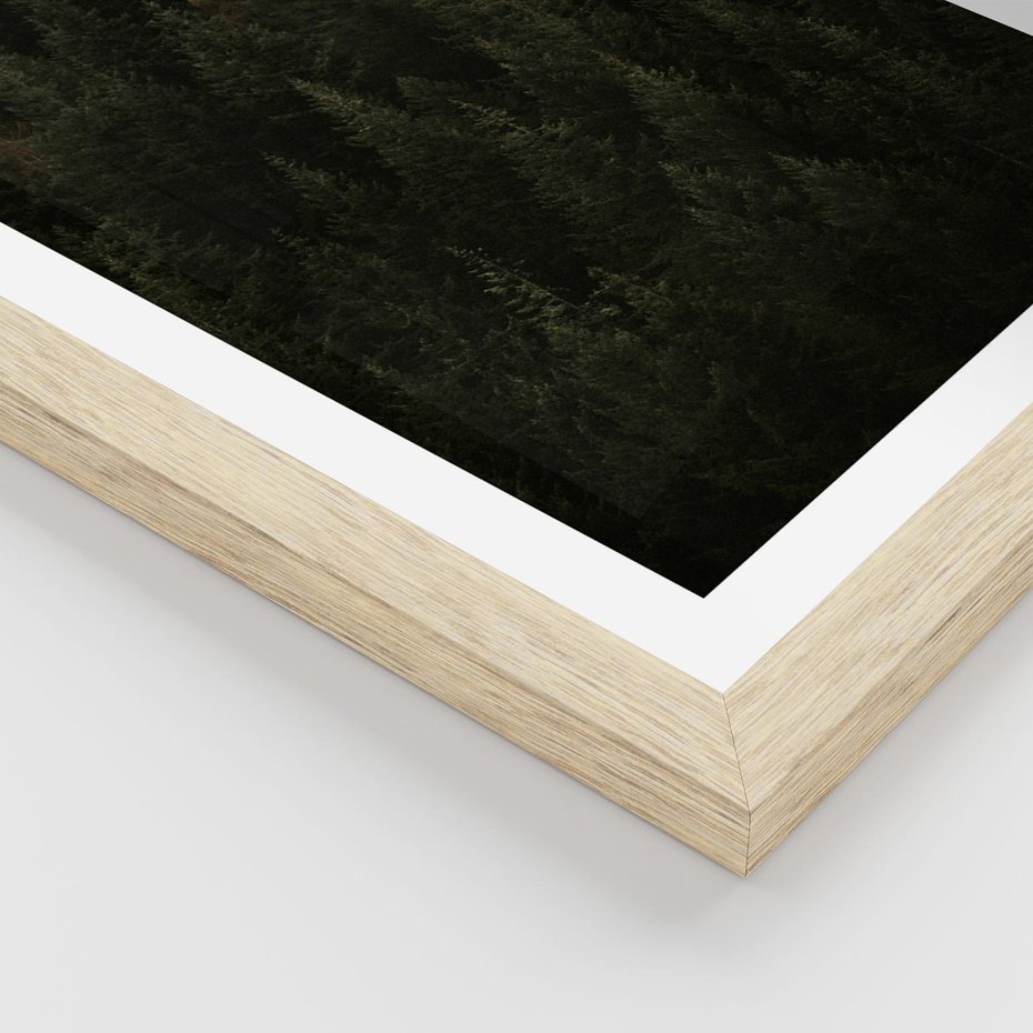 Plakat w ramie 40x50 - Ciemny las iglasty - las, iglasty - rama drewno