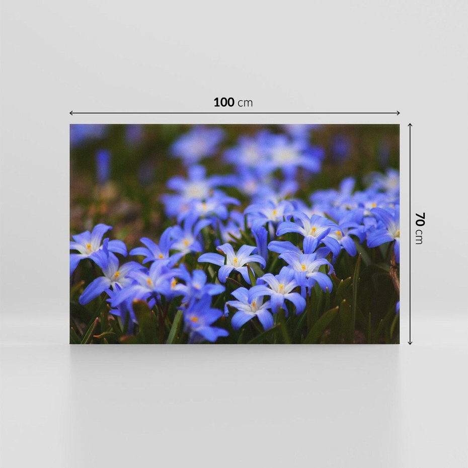 Obraz na płótnie 100x70 - Kwiatowy raj w naturze - kwiat, kwiaty