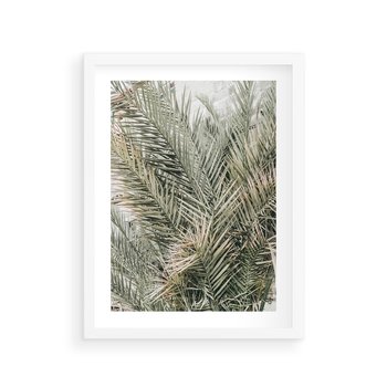 Plakat w ramie 40x50 - Egzotyczny Świat Palm - palmy, liście palmy - rama biała