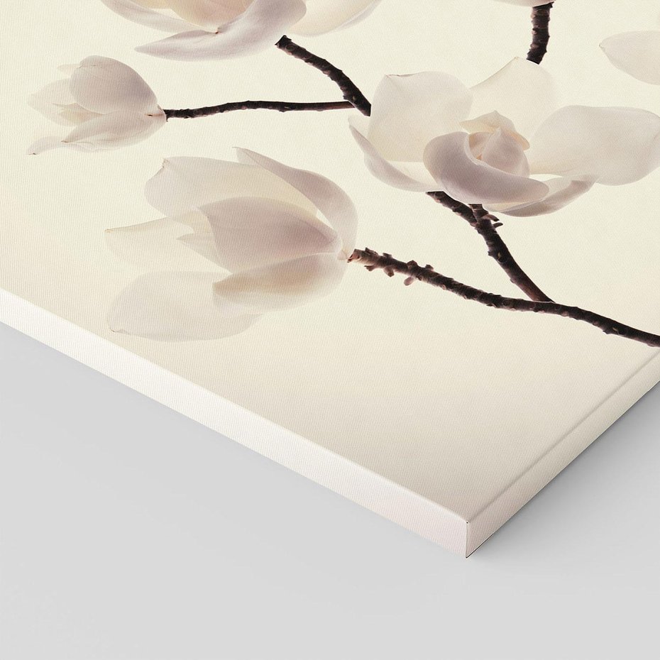 Obraz na płótnie 30x30 - Elegancja Natury - magnolia, białe