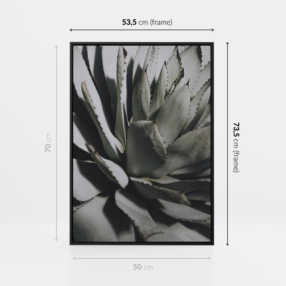 Obraz w ramie 50x70 - Sukulenty wśród kaktusów - sukulenty, kaktusy - rama czarna