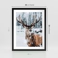 Plakat w ramie 40x50 - Jeleń na Zdjęciu pod Śniegiem - jeleń, zima - rama czarna