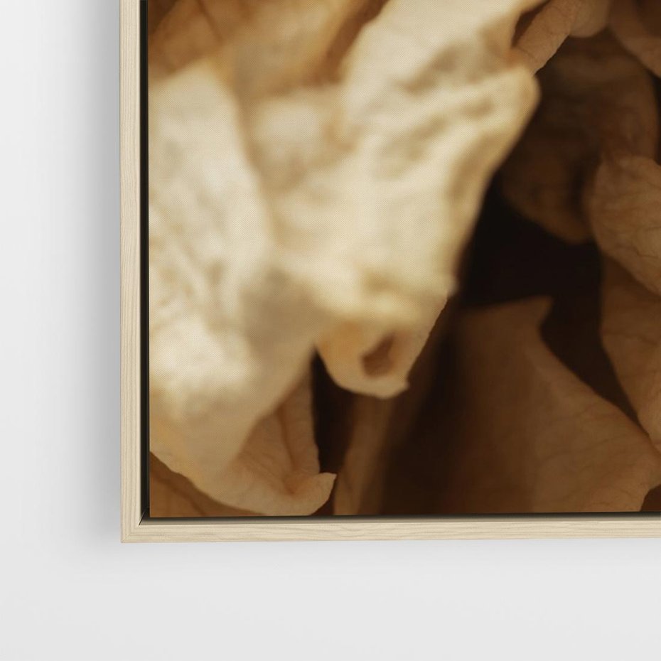 Obraz w ramie 100x70 - Zjawiskowe zasuszone kwiaty - zasuszone, kwiaty - rama drewno