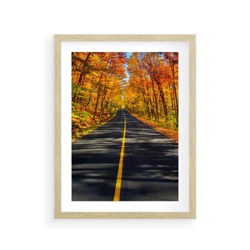 Plakat w ramie 50x70 - Droga przez jesienny las - droga, las - rama drewno