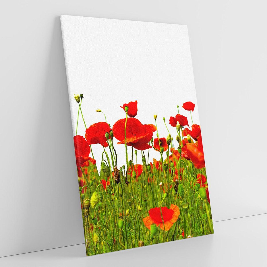 Obraz na płótnie 80x120 - Bujne maki na malowniczej łące - mak, maki