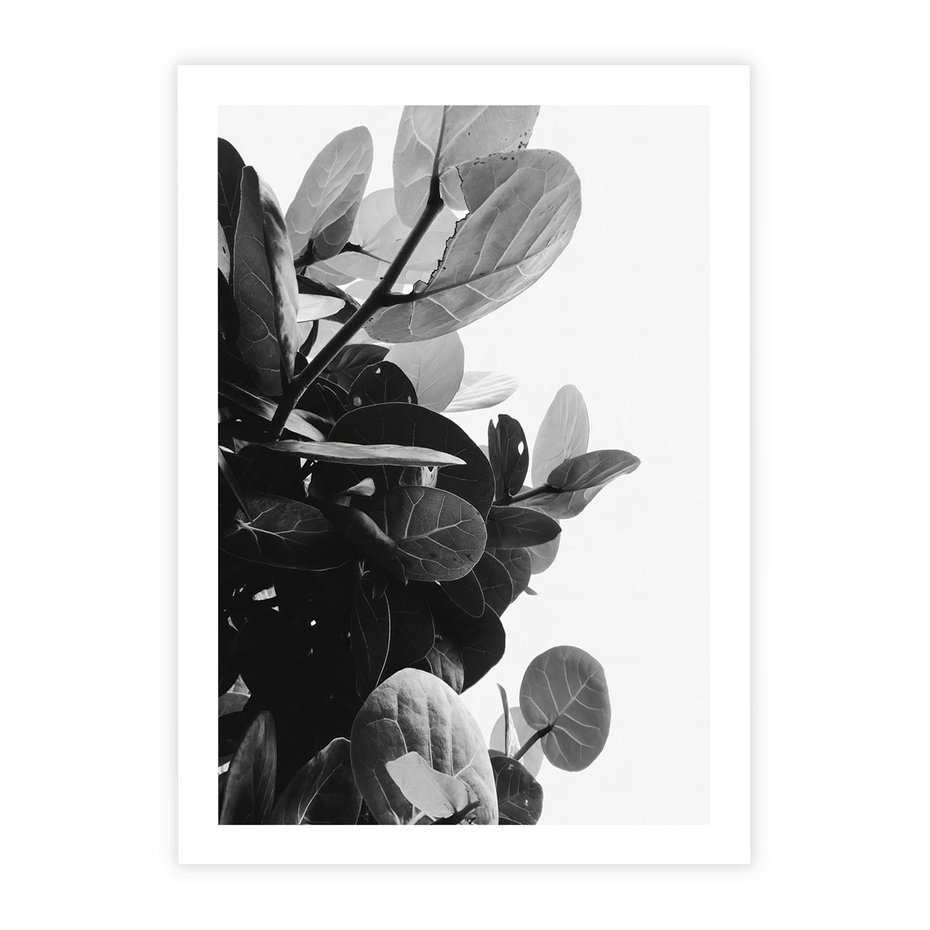 Plakat bez ramy 21x30 - Blisko Natury - liście, rośliny tropikalne