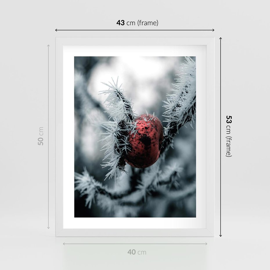 Plakat w ramie 40x50 - Chwila Zimowego Uroku - zima, ośnieżona gałązka - rama biała