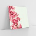 Obraz na płótnie 80x80 - Orchidea - delikatne kwiaty - orchidea, kwiaty