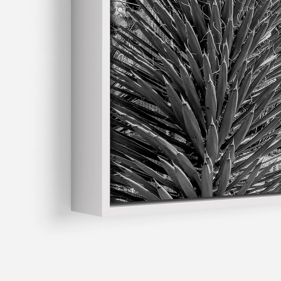 Obraz w ramie 70x50 - Pustynny Klimat - czarno białe zdjecie, pustynia - rama biała