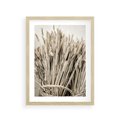 Plakat w ramie 30x40 - Letni Plon - zboże, kłosy zboża - rama drewno