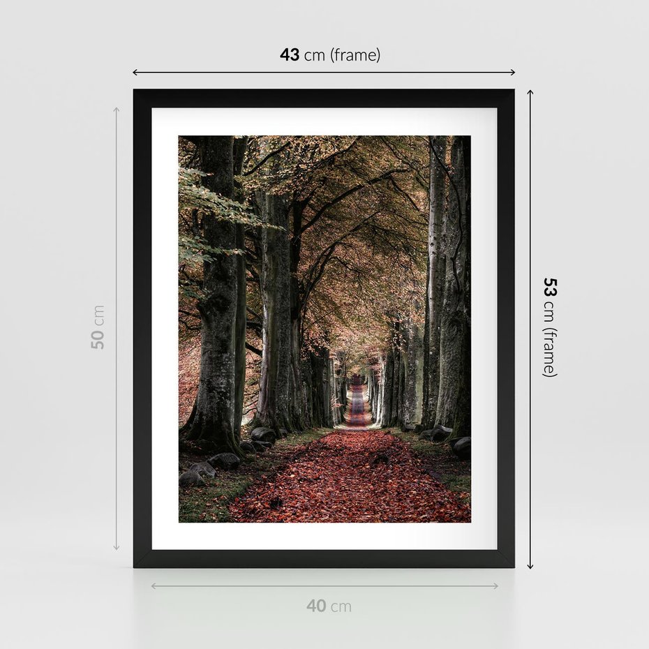Plakat w ramie 40x50 - Spacer po Leśnej Drodze - ścieżka w lesie, jesień suche liście - rama czarna