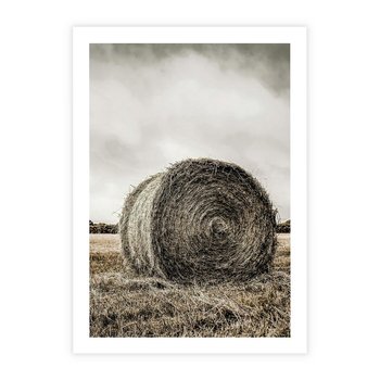 Plakat bez ramy 21x30 - Siano w Sepii: Wiejska Tradycja - snopek siana, bela siana