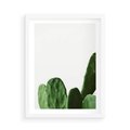Plakat w ramie 50x70 - Minimalizm Natury - kaktus, zbliżenie - rama biała