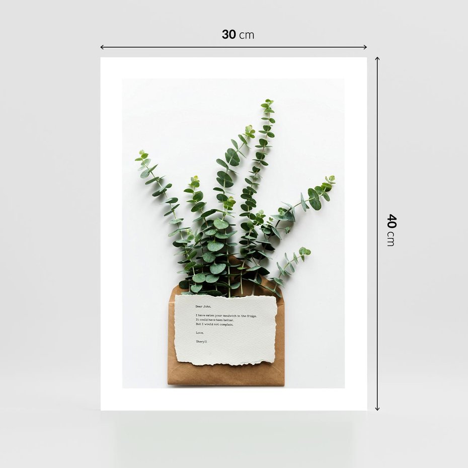 Plakat bez ramy 30x40 - Eukaliptusowa harmonia - eukaliptus, liście