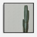 Obraz w ramie 50x50 - Zieleń i Subtelność - kaktusy, liście - rama czarna