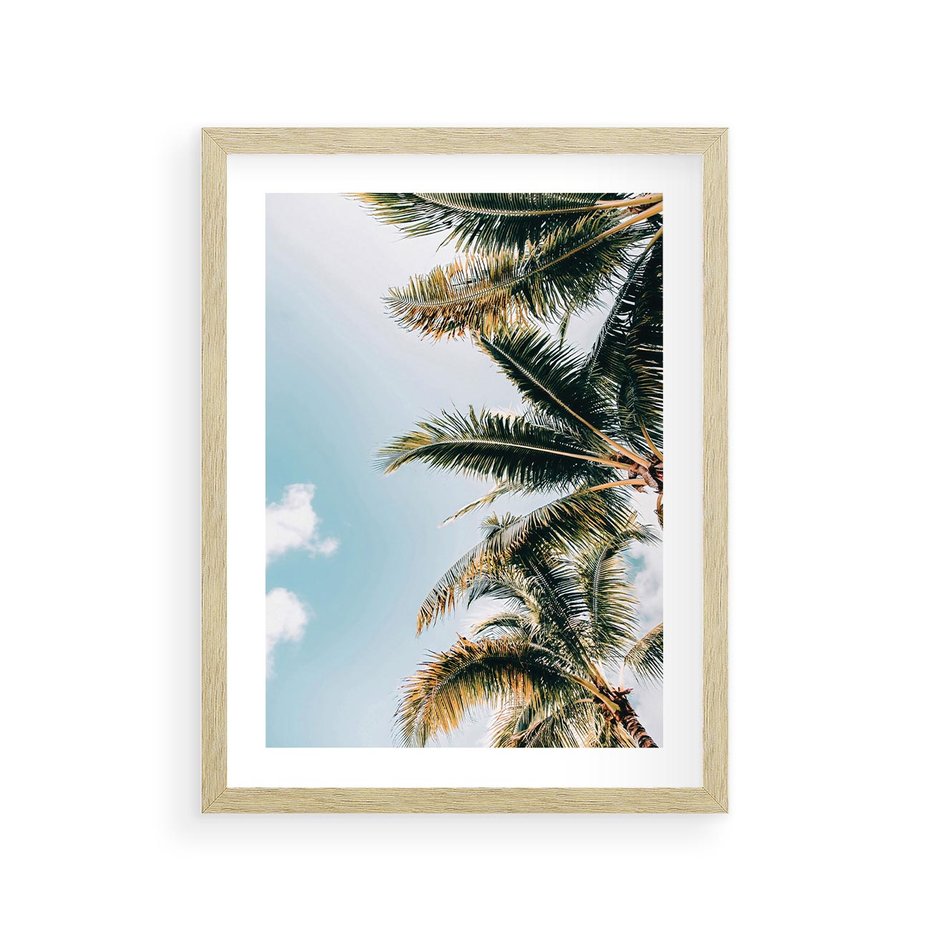 Plakat w ramie 30x40 - Pod Błękitnym Niebem - palmy, ujęcie z dołu - rama drewno