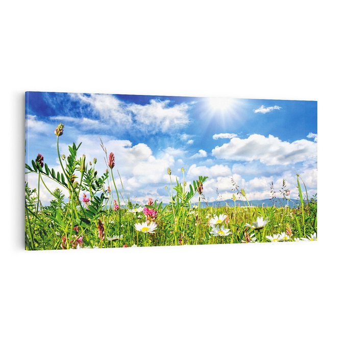 Obraz na płótnie 100x50 - Niebiańska łąka pełna kwiatów - łąka, niebo