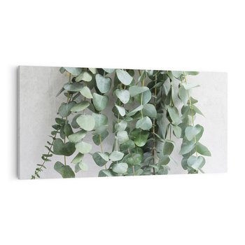 Obraz na płótnie 100x50 - Uwodzicielska zieleń eukaliptusa - eukaliptus, zielone