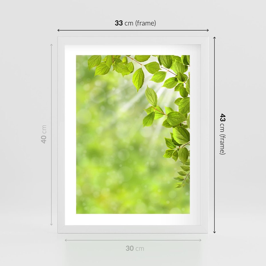 Plakat w ramie 30x40 - Zielone liście natury - liści, zieleń - rama biała