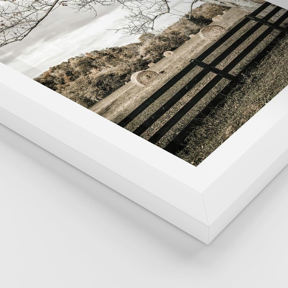 Plakat w ramie 30x40 - Drzewa i Snopki Siana - farma, drzewa - rama biała