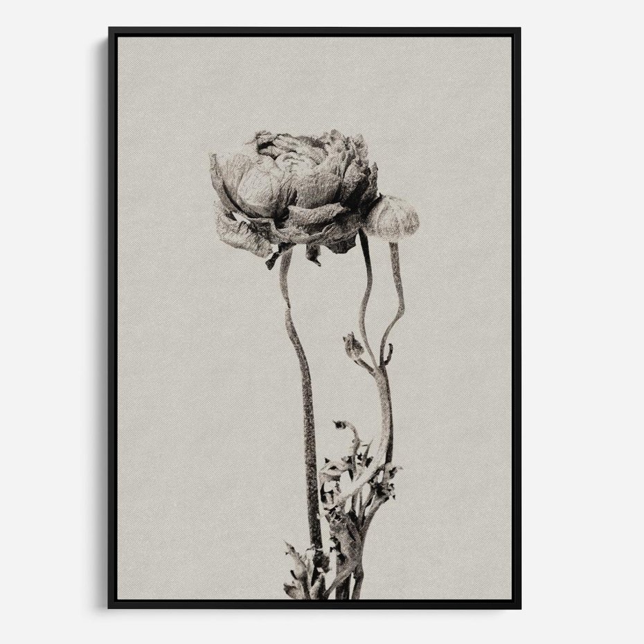 Obraz w ramie 50x70 - Kwiatowa Symfonia w Szarościach - czarno biała odbitka, jak fotografia - rama czarna