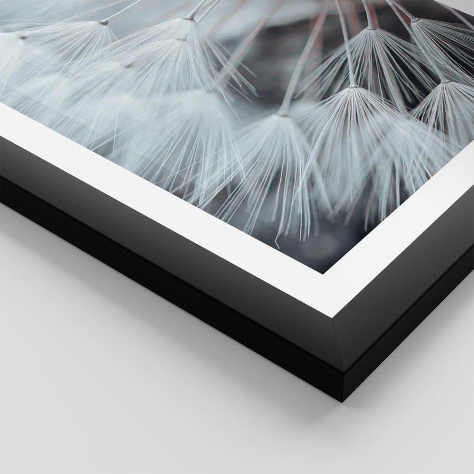 Plakat w ramie 30x40 - Makro Magii Natury - dmuchawiec, zbliżenie makro - rama czarna