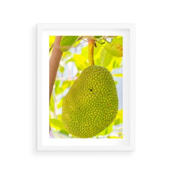 Plakat w ramie 40x50 - Tropikalny raj nad morzem - tropikalny, owoc - rama biała
