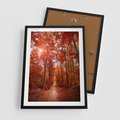 Plakat w ramie 50x70 - Magia jesiennego lasu - las, jesień - rama czarna