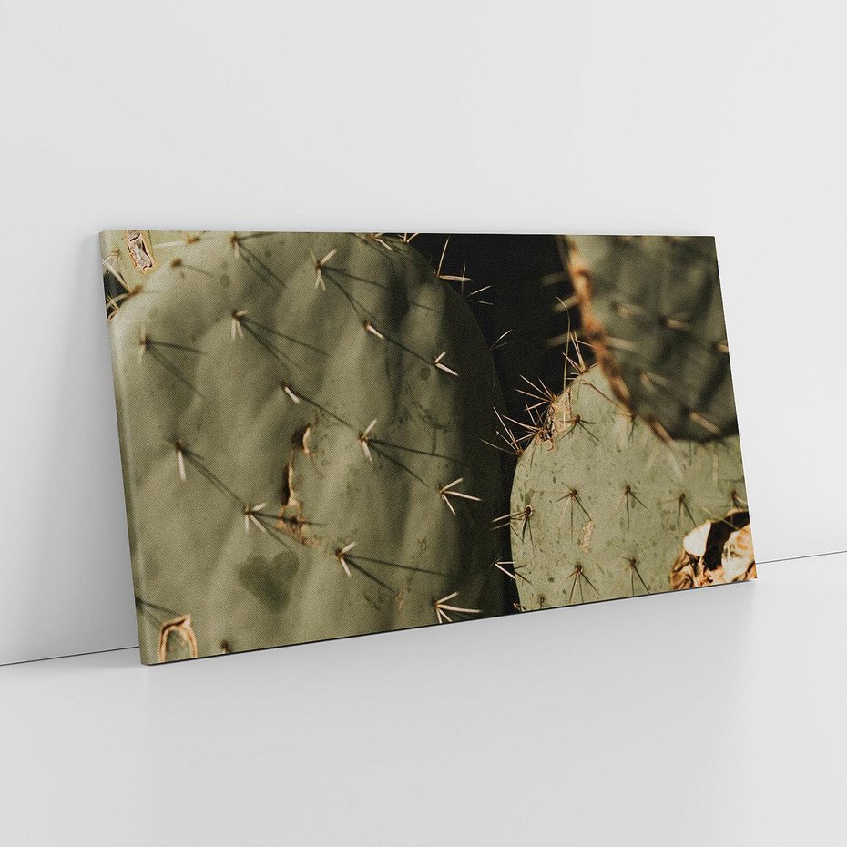 Obraz na płótnie 140x70 - Urok Egzotyki - kaktusy, boho